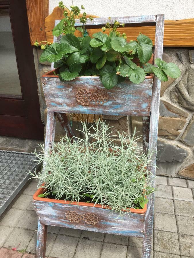 Dom Rodziny Sojków Bialka Tatrzanska Exterior foto